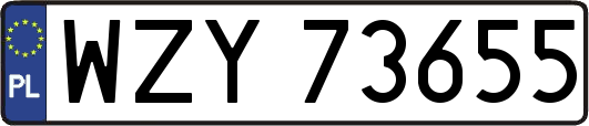WZY73655