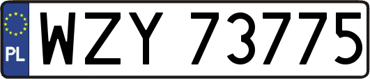 WZY73775
