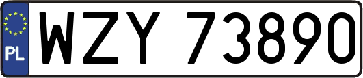 WZY73890