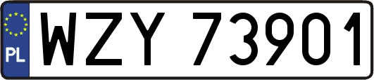 WZY73901
