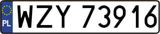 WZY73916