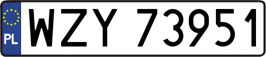 WZY73951
