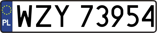 WZY73954