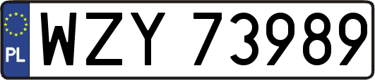 WZY73989