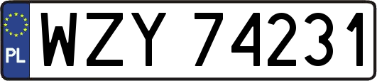 WZY74231