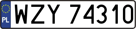 WZY74310