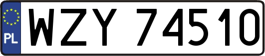 WZY74510