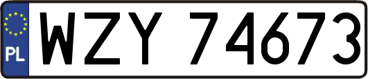 WZY74673