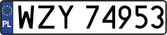 WZY74953