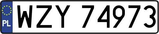 WZY74973