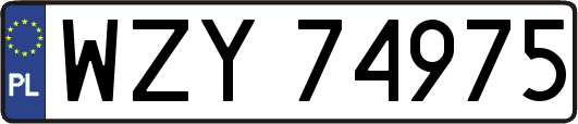 WZY74975