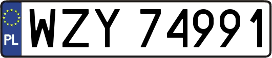 WZY74991