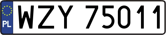 WZY75011