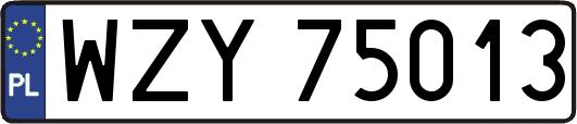 WZY75013