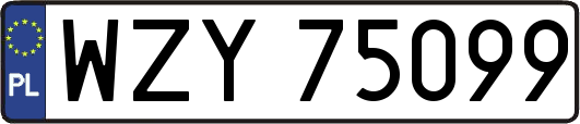 WZY75099