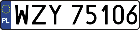 WZY75106
