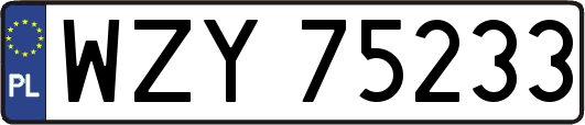 WZY75233