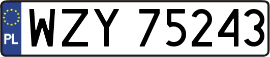 WZY75243
