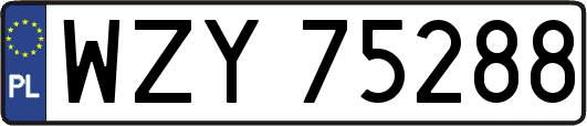 WZY75288