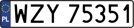 WZY75351
