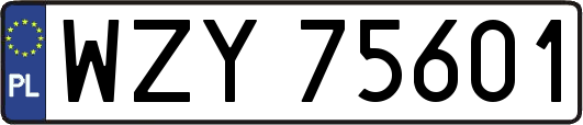 WZY75601