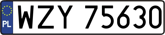 WZY75630