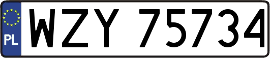 WZY75734