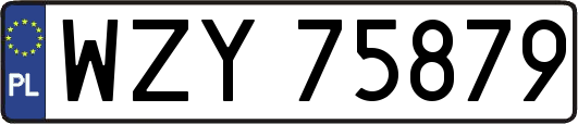WZY75879