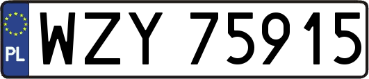 WZY75915