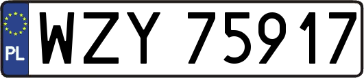 WZY75917