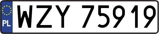 WZY75919
