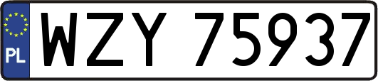 WZY75937