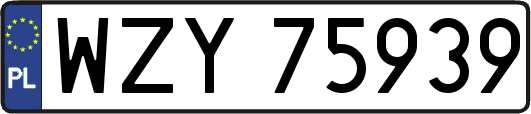WZY75939