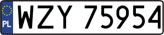 WZY75954