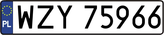 WZY75966