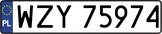 WZY75974