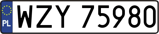 WZY75980