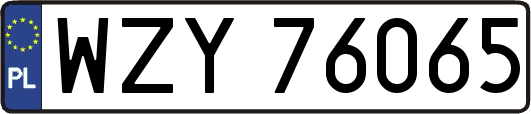 WZY76065