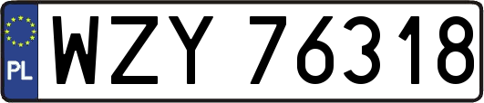 WZY76318