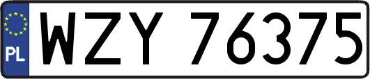 WZY76375
