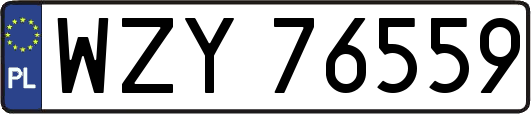 WZY76559
