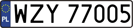 WZY77005