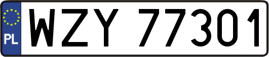 WZY77301