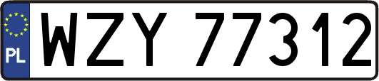 WZY77312