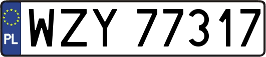 WZY77317