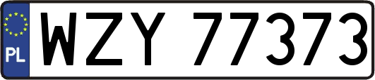 WZY77373