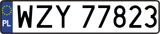 WZY77823