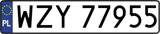 WZY77955