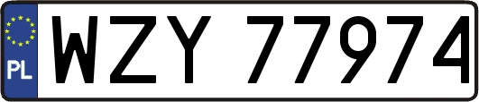 WZY77974