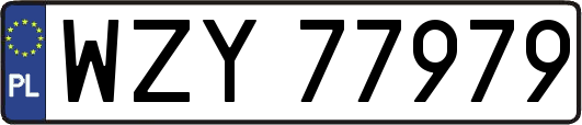 WZY77979